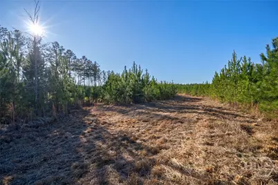 0 Lower Harmony, Eatonton, GA 31024 - Photo 21