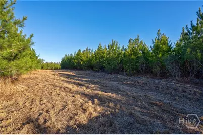 0 Lower Harmony, Eatonton, GA 31024 - Photo 5