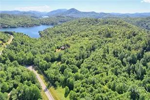 4979 Hwy 197, Clarkesville, GA 30523 - Photo 47