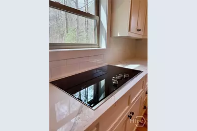 1365 Skylake Road, Sautee Nacoochee, GA 30571 - Photo 21