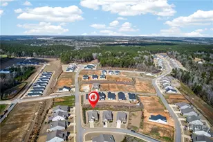 1000 Shady Dl Wy, Greensboro, GA 30642 - Photo 39