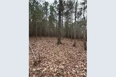 1700 Northwoods Drive, Greensboro, GA 30642 - Photo 3