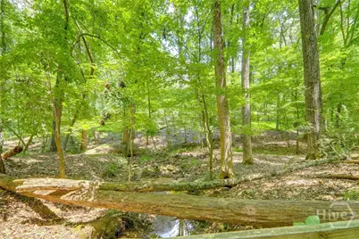 1641 Wild Azalea Lane, Athens, GA 30606 - Photo 3