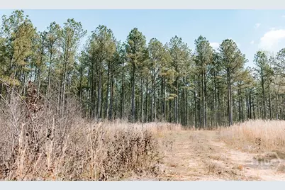 0 Washington Road, Lexington, GA 30648 - Photo 19