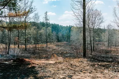 0 Washington Road, Lexington, GA 30648 - Photo 25