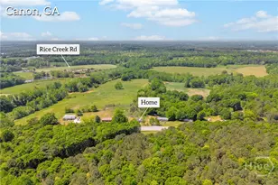 3817 Hwy 17, Canon, GA 30520 - Photo 3