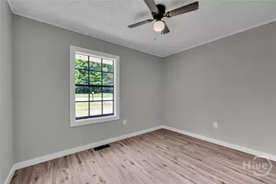 3817 Highway 17, Canon, GA 30520 - Photo 23
