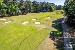 1011 Lake Pointe S, Greensboro, GA 30642 - Photo 65