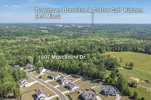 1607 Muscadine Dr, Hoschton, GA 30548 - Photo 71