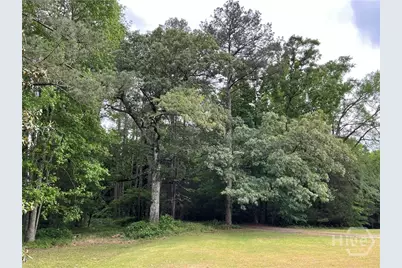 837 Bartram Trace, Rayle, GA  - Photo 65