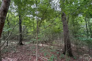 1018 Neal Rd, Commerce, GA 30530 - Photo 5