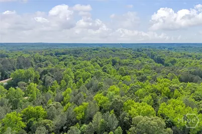 0 U S Hwy 441 S, Nicholson, GA 30565 - Photo 11