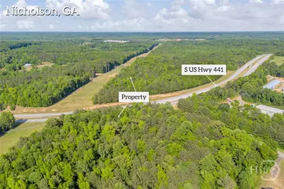0 U S Hwy 441 S, Nicholson, GA 30565 - Photo 3