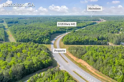 0 U S Hwy 441 S, Nicholson, GA 30565 - Photo 5