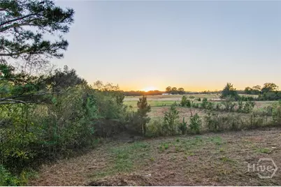 134 Mitchell Farm Road, Colbert, GA 30628 - Photo 47