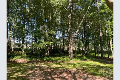1071 Dials Mill Spur Spur, Statham, GA 30666 - Photo 3