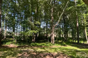 1071 Dials Mill Spur Spur, Statham, GA 30666 - Photo 3