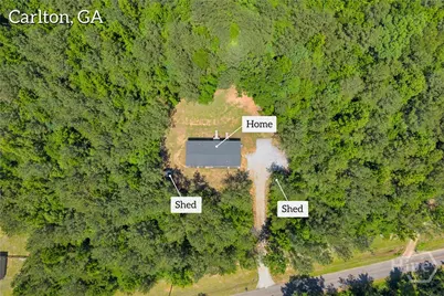 295 Berkeley Road, Carlton, GA 30627 - Photo 29
