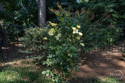 1071 Meriweather Drive, Watkinsville, GA 30677 - Photo 57