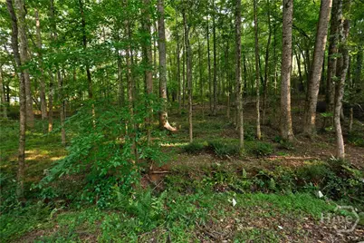 1251 Dials Plantation, Statham, GA 30666 - Photo 59