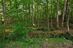 1251 Dials Plantation, Statham, GA 30666 - Photo 59