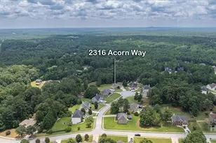 2316 Acorn Way, Monroe, GA 30656 - Photo 43