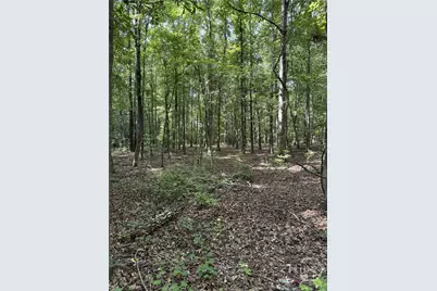 0 Beaverdam Road, Winterville, GA 30648 - Photo 1