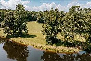 6 Burt Rd, Carlton, GA 30627 - Photo 49