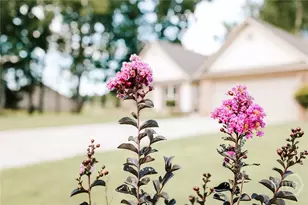 296 Highlands Dr, Winterville, GA 30683 - Photo 3