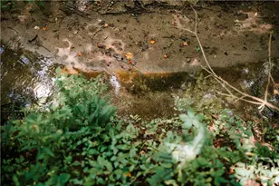 72 Terry Dee Ln, Colbert, GA 30628 - Photo 5