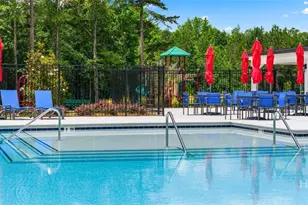 1190 Amerson st, Buckhead, GA 30625 - Photo 57
