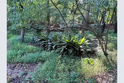 330 Red Fox Run, Athens, GA 30605 - Photo 61