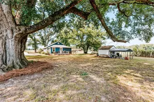824 Lexington-Carlton Rd, Carlton, GA 30627 - Photo 41