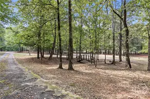 220 Deer Haven Run, Carlton, GA 30627 - Photo 59