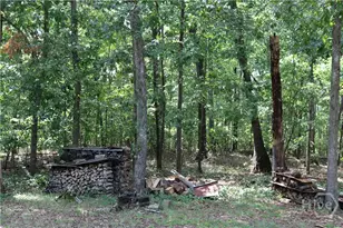 2096 Roy Woods Rd, Comer, GA 30629 - Photo 39