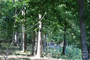 2096 Roy Woods Rd, Comer, GA 30629 - Photo 21