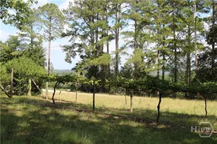2096 Roy Woods Rd, Comer, GA 30629 - Photo 27