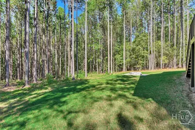 1165 Watersedge Cove, Tignall, GA 30668 - Photo 43