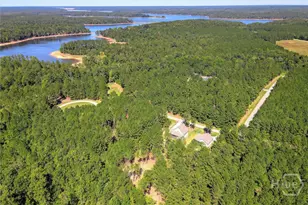 1192 Sunset Cove, Tignall, GA 30668 - Photo 51