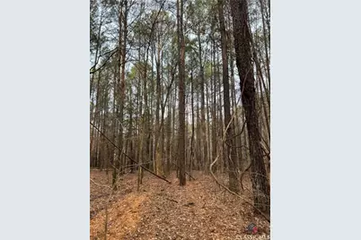 Lot B Salem Road, Watkinsville, GA 30677 - Photo 15