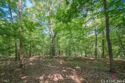 780 Macon Highway, Athens, GA 30606 - Photo 5