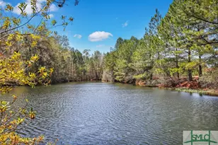 6006 196 Hwy, Hinesville, GA 31313 - Photo 49