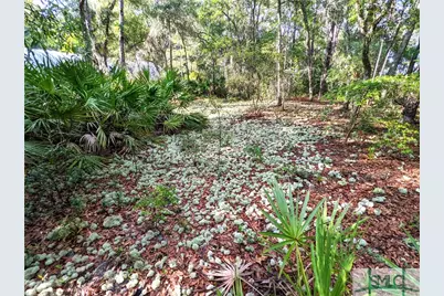 0 Fort Argyle Road, Savannah, GA 31419 - Photo 11