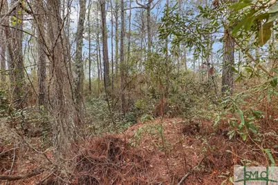 0 Steeple Chase Lane, Richmond Hill, GA 31324 - Photo 17