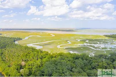 41 Gray Heron Retreat, Savannah, GA 31411 - Photo 3