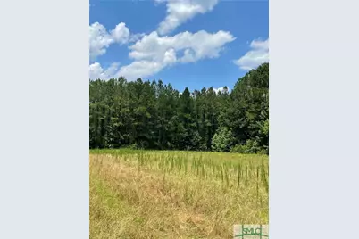 0 Rahn Station Road, Springfield, GA 31329 - Photo 5