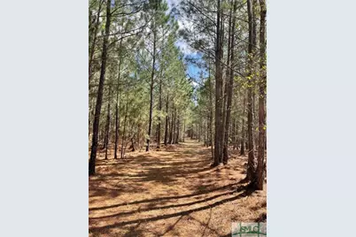 0 Fish Road, Newington, GA 30446 - Photo 5