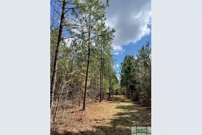 0 Fish Road, Newington, GA 30446 - Photo 9