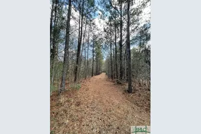 0 Fish Road, Newington, GA 30446 - Photo 3