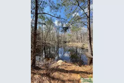 0 Fish Road, Newington, GA 30446 - Photo 7
